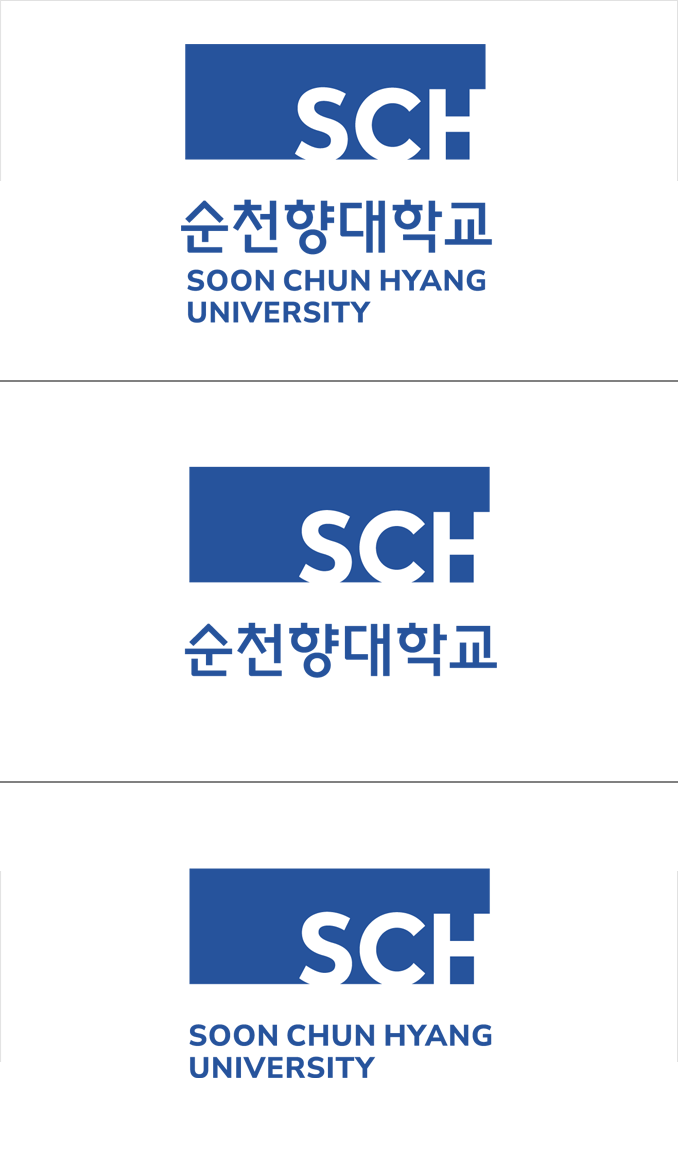 시그니처 세로 조합