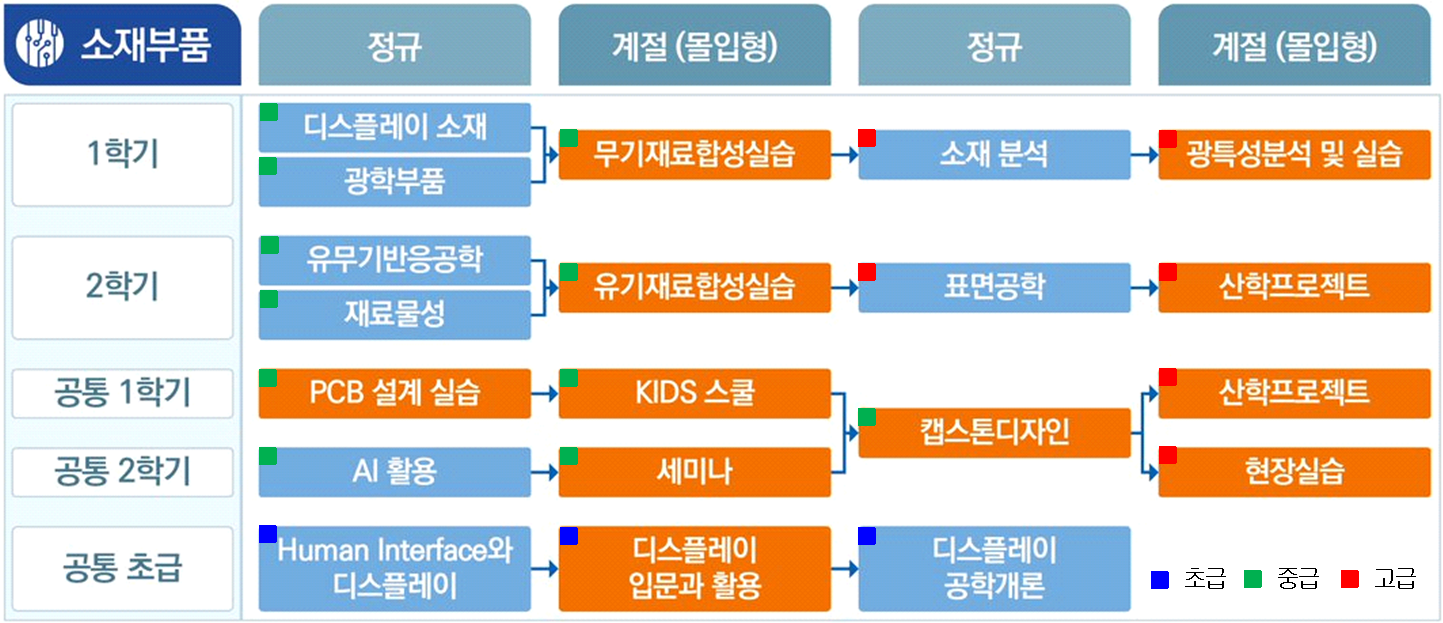 sw전공교육 소개
